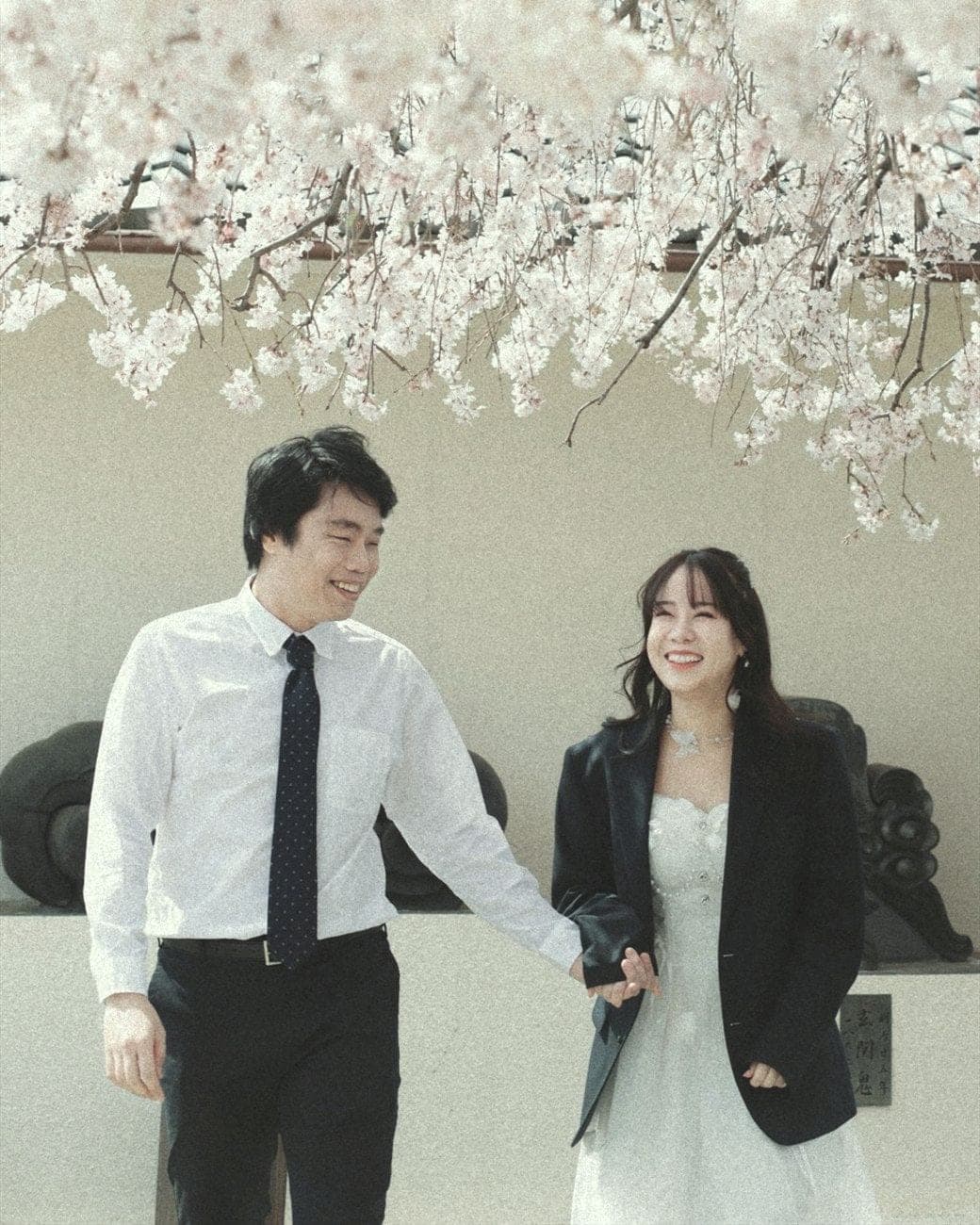 Witita and Sorratat hand in hand beneath cherry blossom in Japan